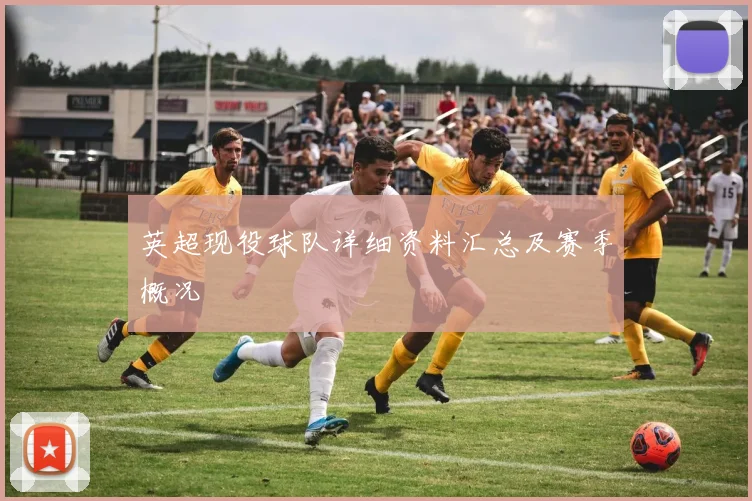 英超现役球队详细资料汇总及赛季概况