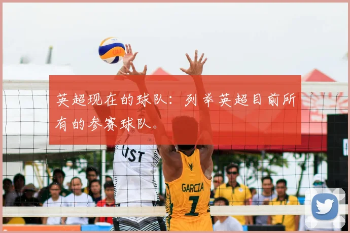 英超现在的球队：列举英超目前所有的参赛球队。